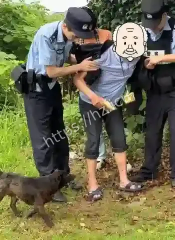 老人晕倒草丛中